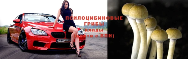 МДМА Белокуриха