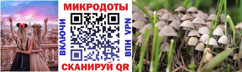 где можно купить наркотик  Ахтырский  Псилоцибиновые грибы GOLDEN TEACHER 